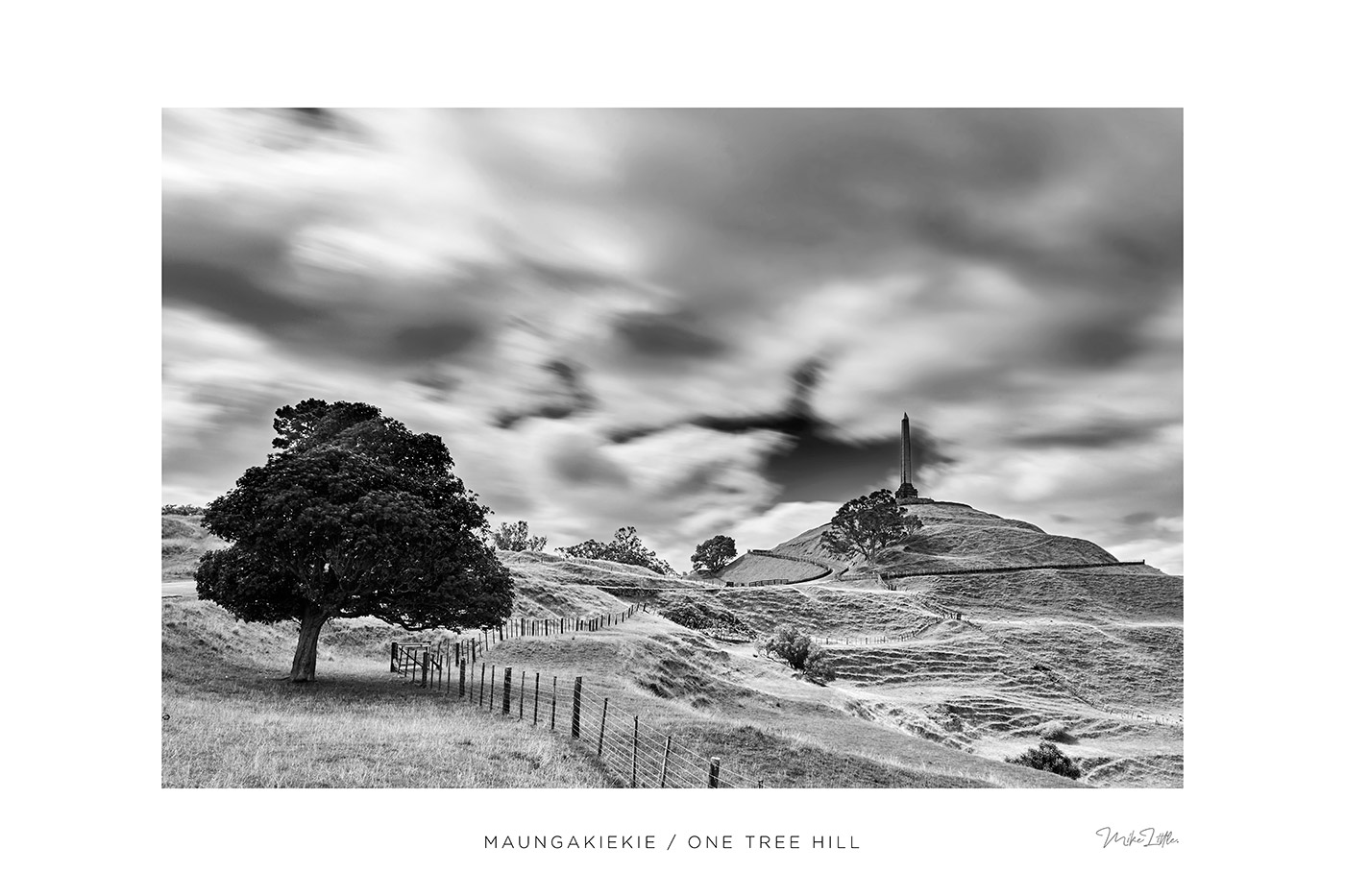 One Tree Hill / Maungakiekie Mike Little Photography