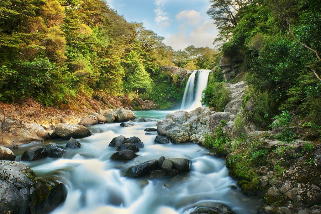 “Gollum’s Pool” Tawhai Falls