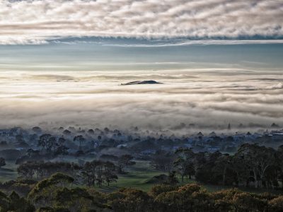 Tāmaki Makaurau / Auckland