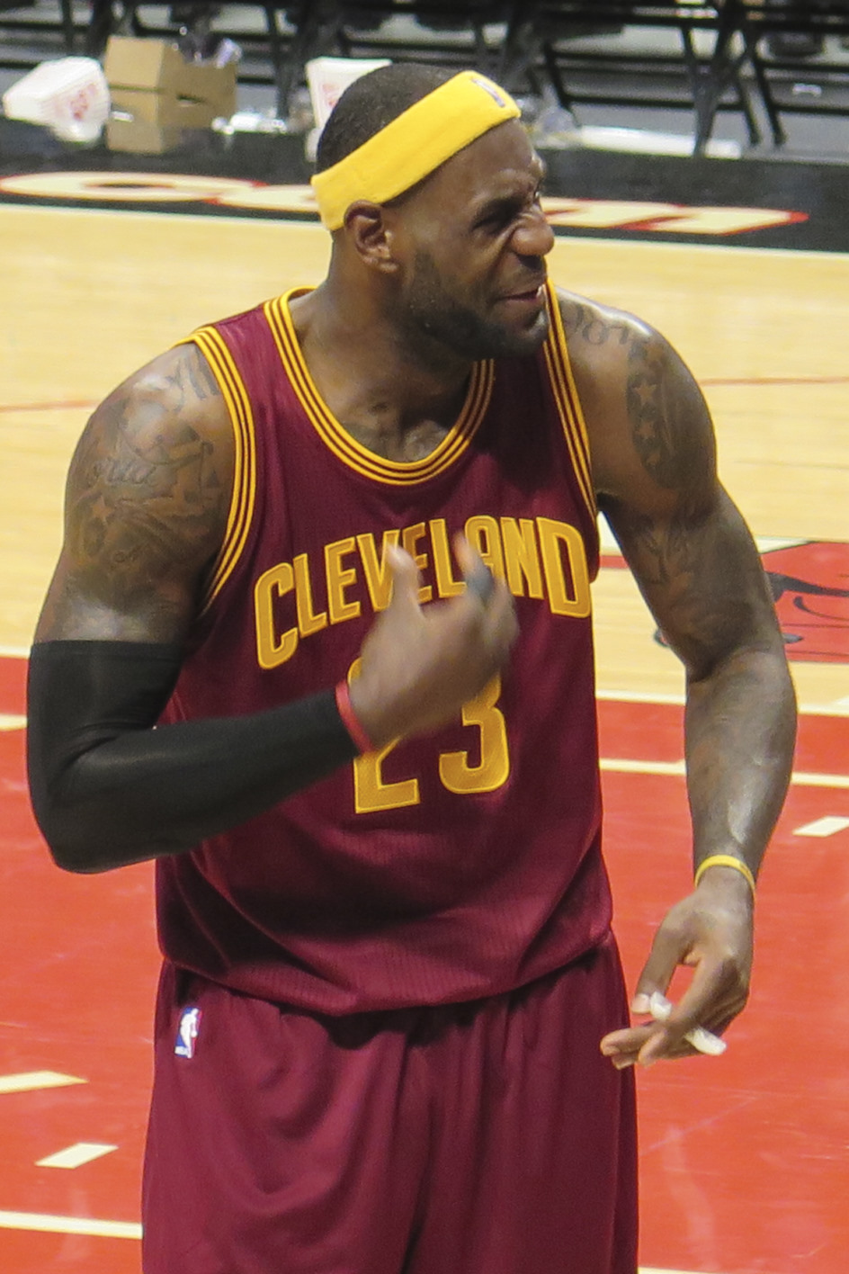 LeBron James owning the court