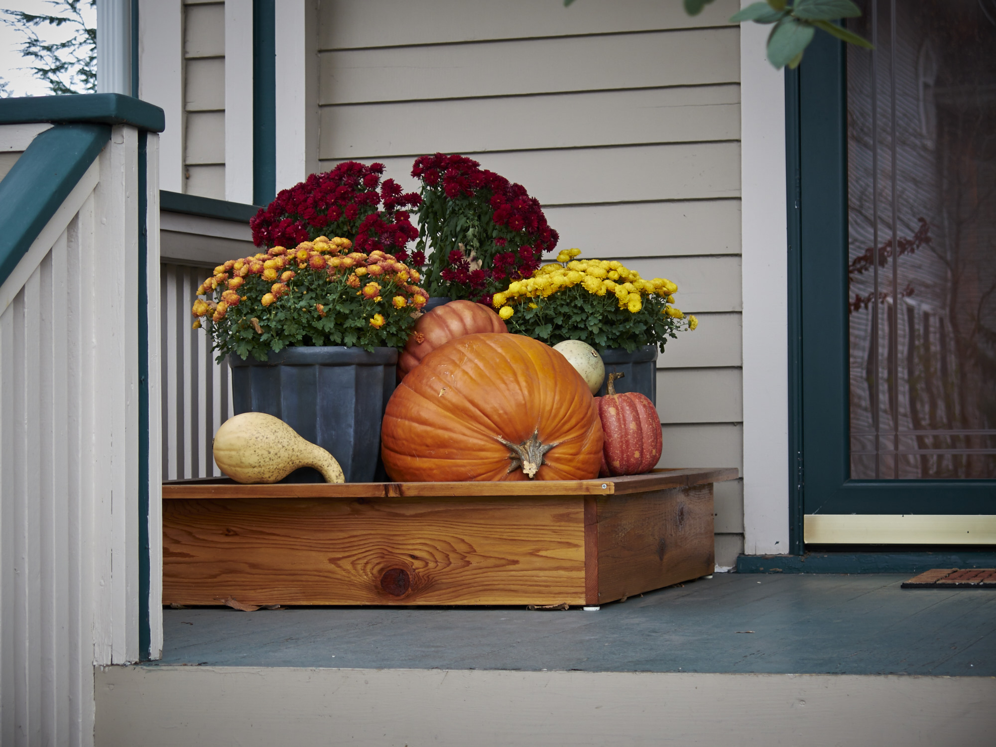 Halloween pumpkins & gourds