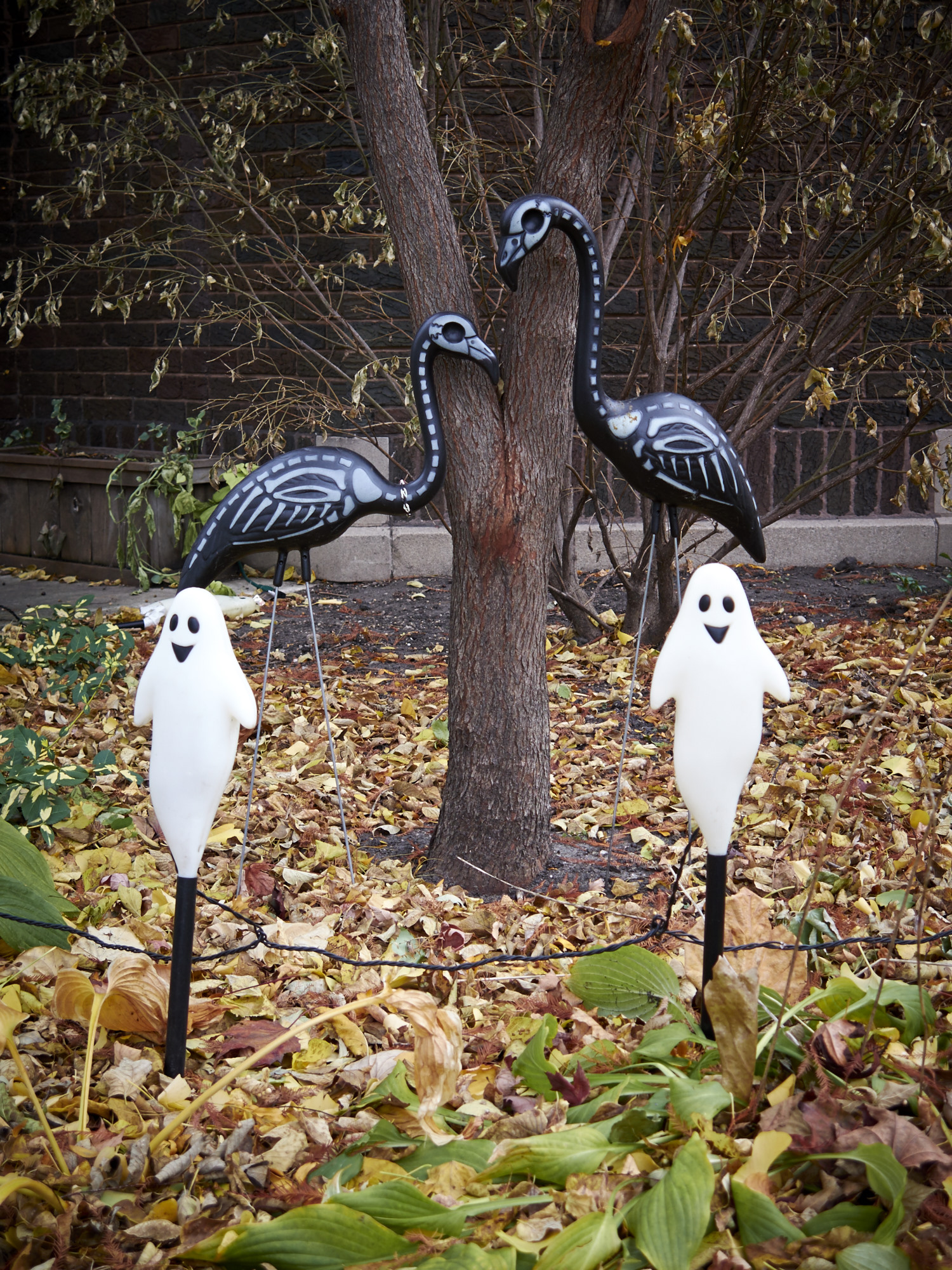 Spook-tacular Halloween decorations