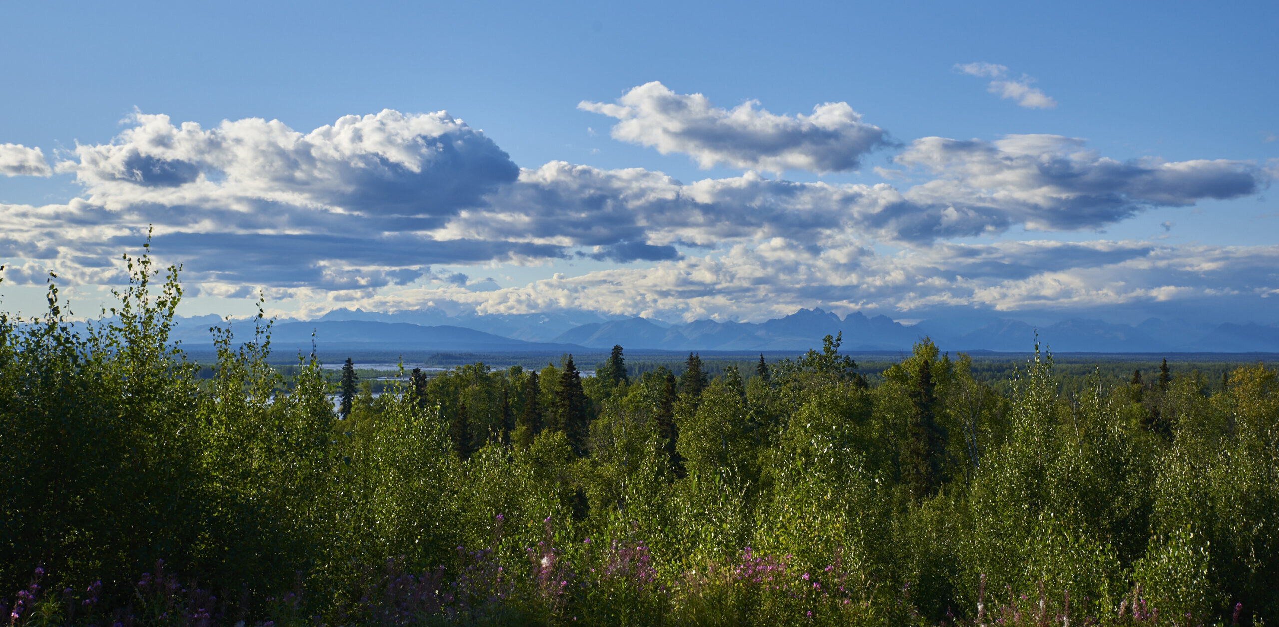 View from Talkeetna across to the Denali National Park