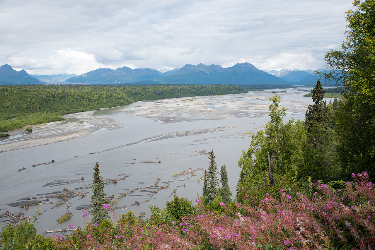 Denali National Park